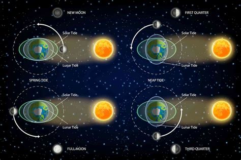 Lunar tides. Things To Know About Lunar tides. 